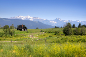Montana